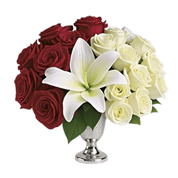 Crimson Rose Elegance