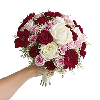 Peony Petal Harmony