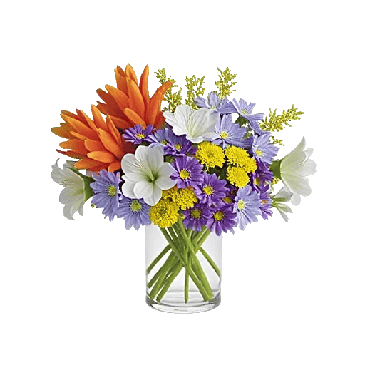 Petal Radiance Bliss