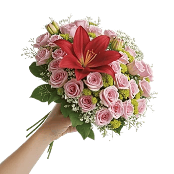 Blushing Rose Symphony