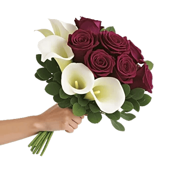 Elegant Calla Lilies