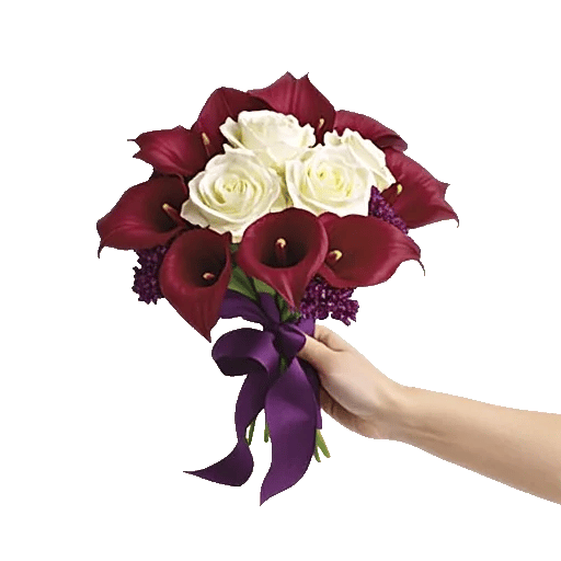 Elegant Calla Lilies