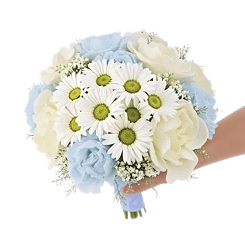 Delicate Petal Cascade