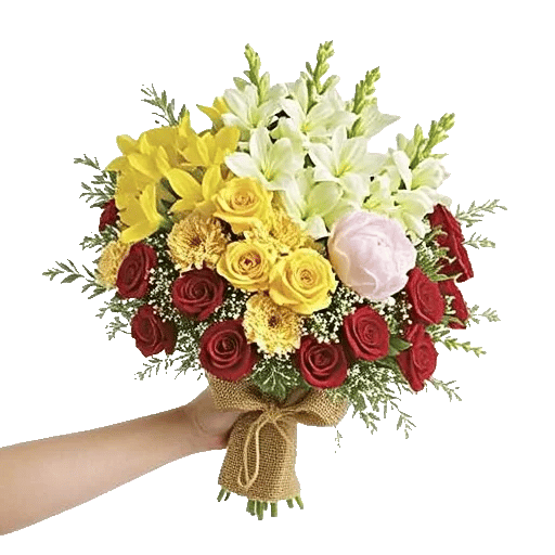 Petal Radiance Bliss