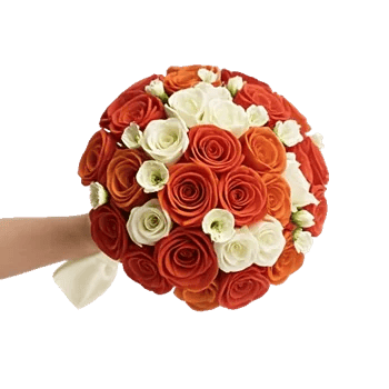 Blushing Rose Symphony