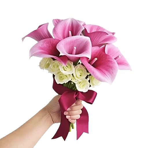 Elegant Calla Lilies