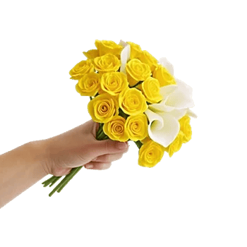 Elegant Calla Lilies