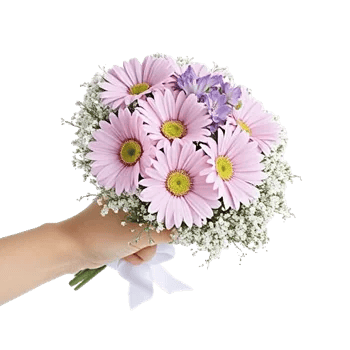 Blossom Petal Serenity