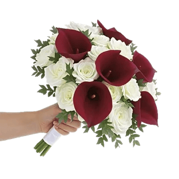 Elegant Calla Lilies