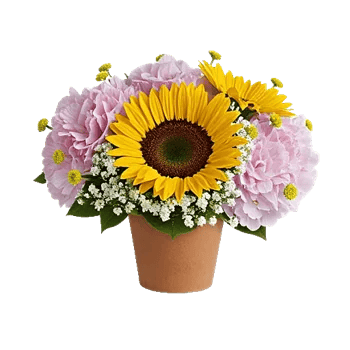 Amber Sunflower Glow