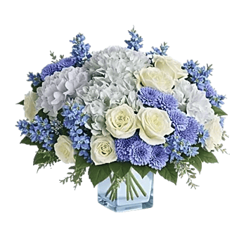 Azure Sky Blooms