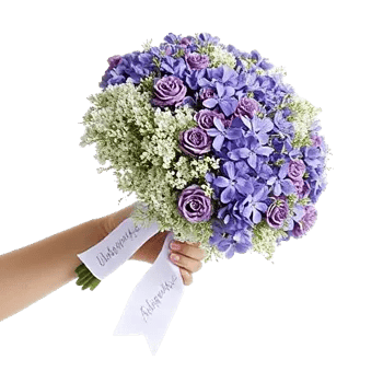 Pastel Blossom Grace