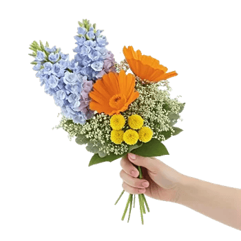 Blossom Petal Serenity