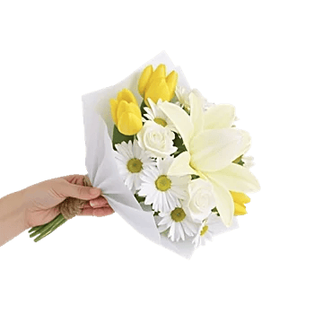 Blossom Harmony Display