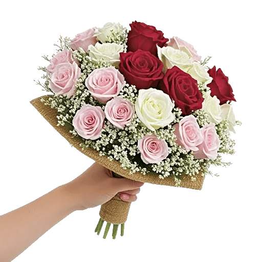 Crimson Rose Elegance