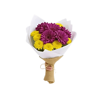 Petal Softness Display