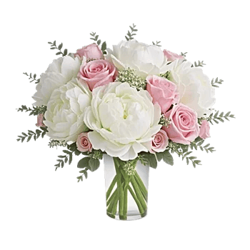 Ivory Blossom Radiance