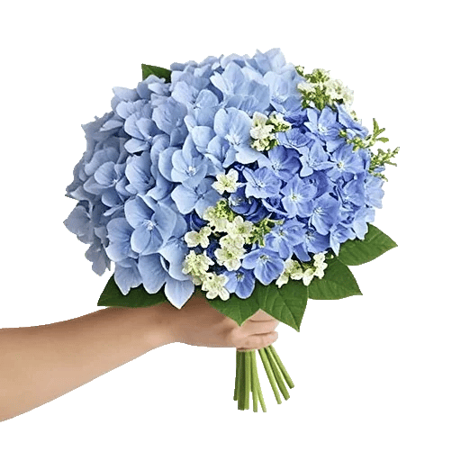 Sapphire Bloom Whisper