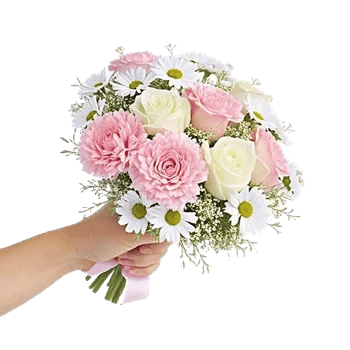 Pastel Pink Roses