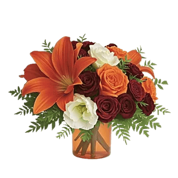 Petal Radiance Bliss