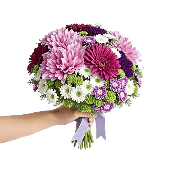 Blossom Petal Serenity