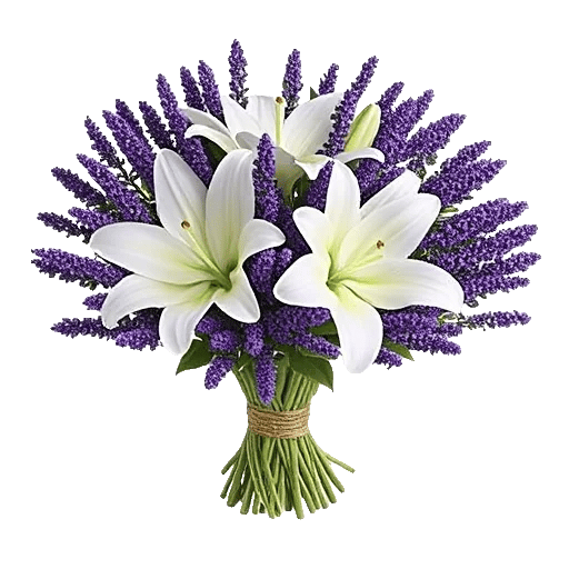 Lavender Bloom Grace