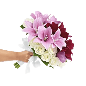 Elegant Calla Lilies