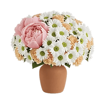 Petal Radiance Bliss