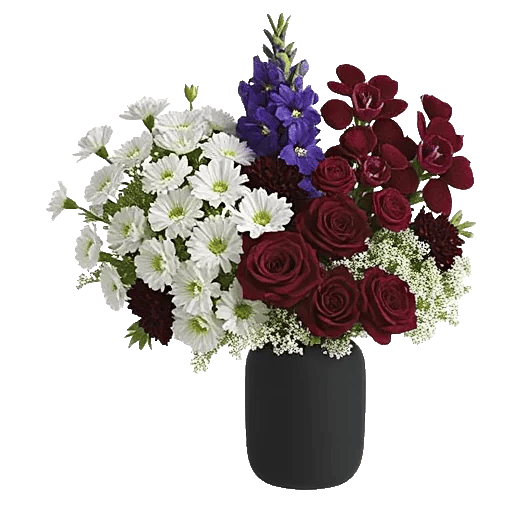 Modern White Orchids