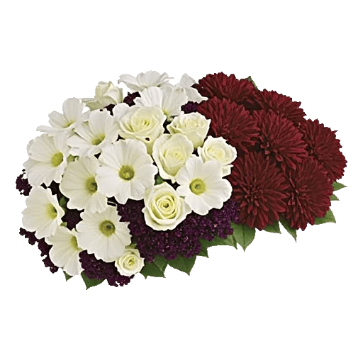Modern White Orchids