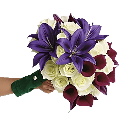 Elegant Calla Lilies