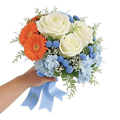 Serene Petal Harmony