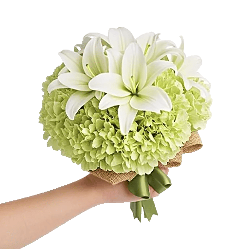 Elegant Calla Lilies