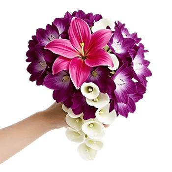 Orchid Bloom Cascade
