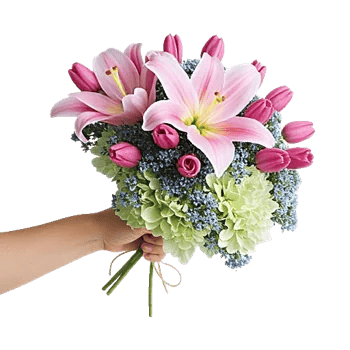 Blossom Harmony Display