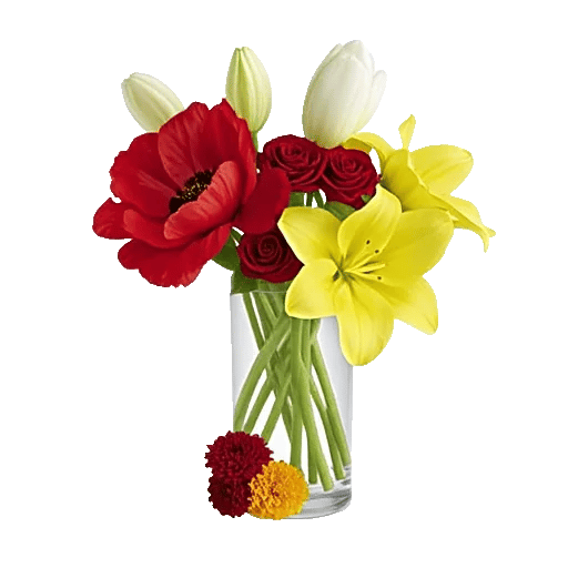 Petal Radiance Bliss