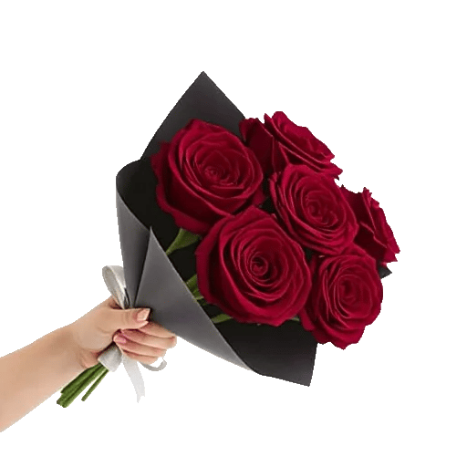 Crimson Rose Elegance