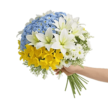 Blossom Petal Serenity