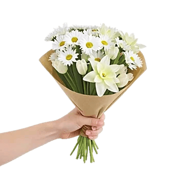 Blossom Harmony Display