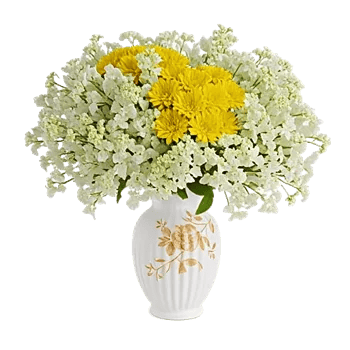 Ivory Blossom Radiance