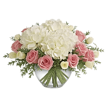 Serene Petal Harmony