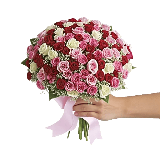 Pink Pastel Roses