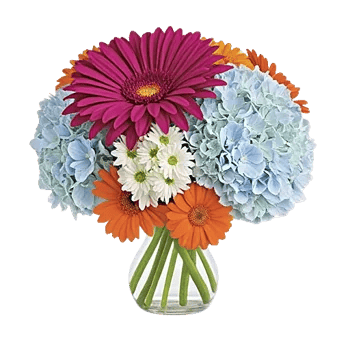 Radiant Bloom Cascade