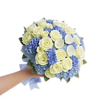 Ivory Garden Grace