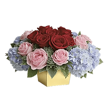 Petal Radiance Bliss