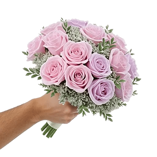Pastel Pink Roses