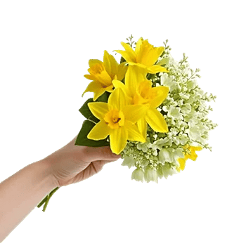 Blossom Harmony Display