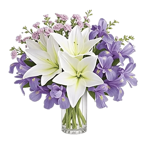 Ivory Blossom Radiance