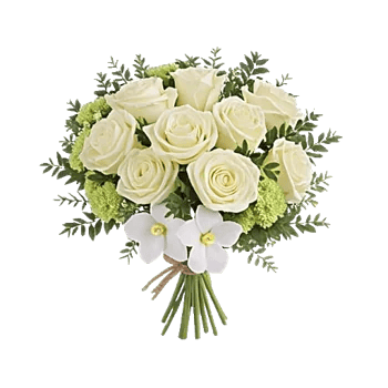 Ivory Garden Grace