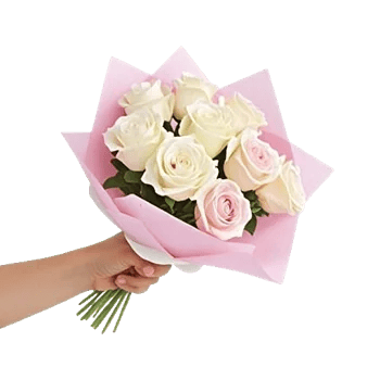 Pink Pastel Roses
